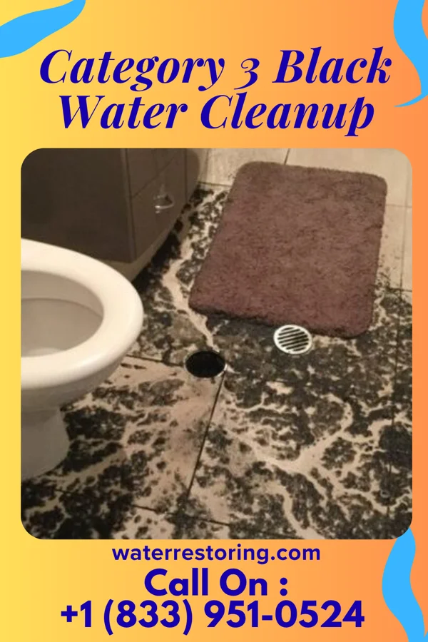 Category 3 Black Water Cleanup in St. Marys, OH