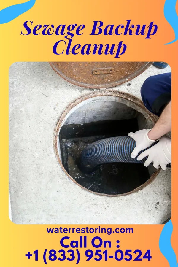 Sewage Backup Cleanup in St. Marys, OH